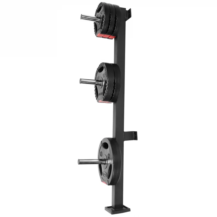 Seinäkiinnitteinen levypainoteline 30 mm, 300 kg - Image 4