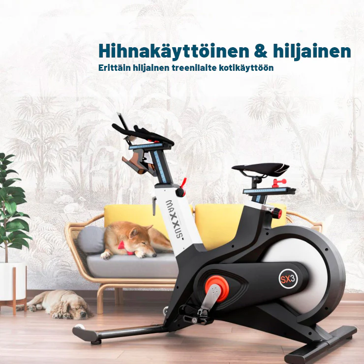 SX 3 kuntopyörä magneettivastuksella - Image 14