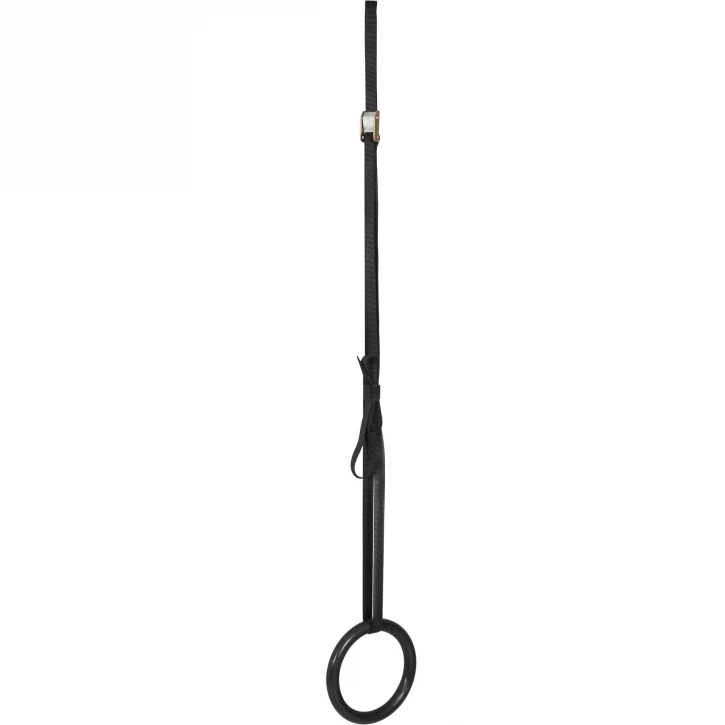 Voimistelurenkaat 450 cm hihnoilla, max. 200 kg - Image 3