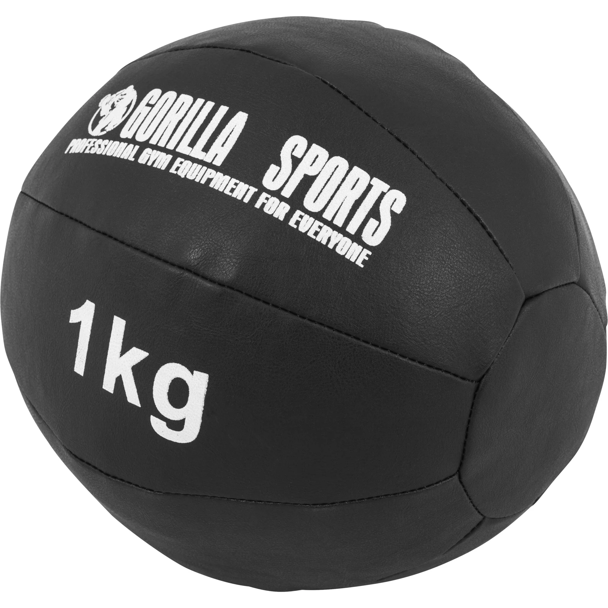 Wall Ball kuntopallosetti 55 kg 1–10 kg - Image 4